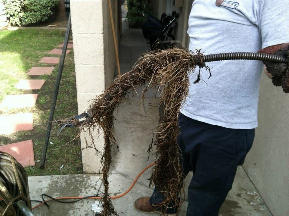 Project Sewer Line Root Removal image