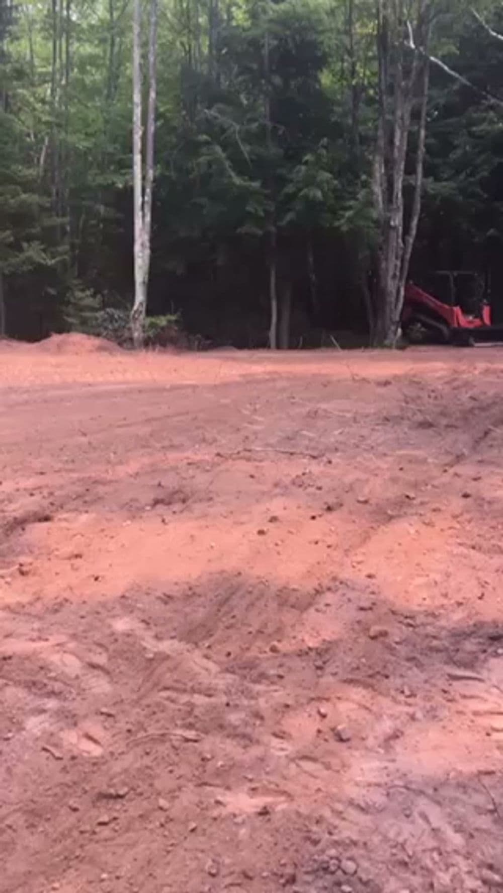 Excavator working on a dirt surface in a wooded area, clearing land for construction.