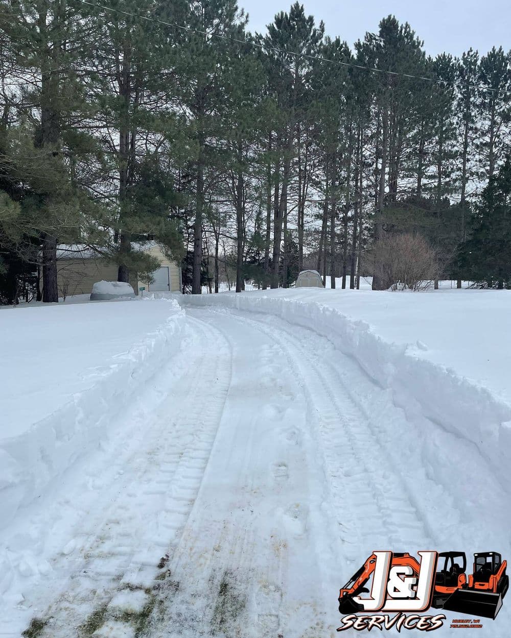 Snow-covered driveway with tire tracks leading through tall pine trees in a winter landscape.