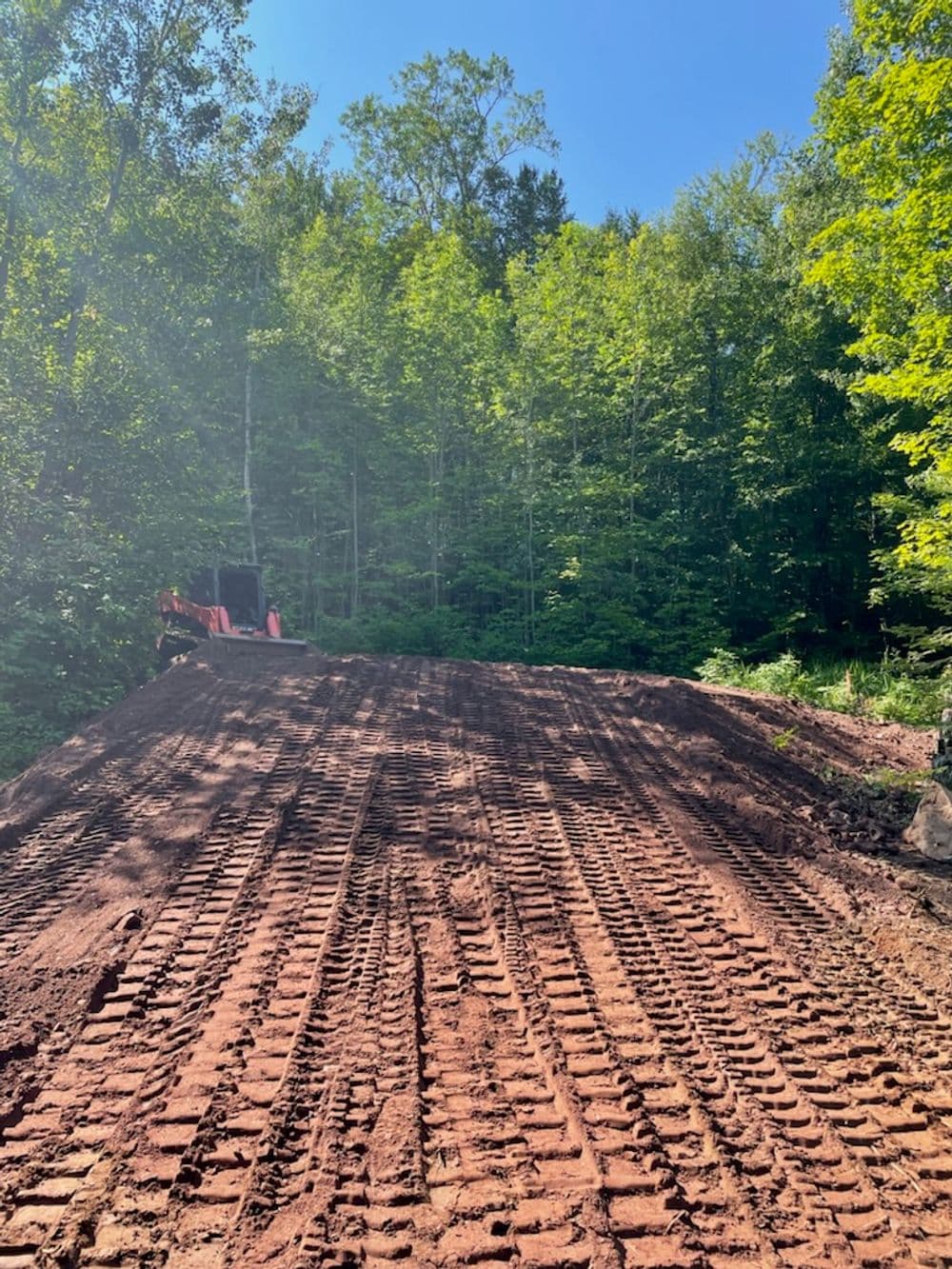 Cleared ground with tire tracks in a forest clearing on a sunny day.