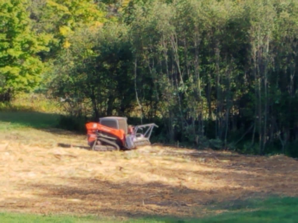Orange tractor on a cleared field surrounded by lush greenery and trees.