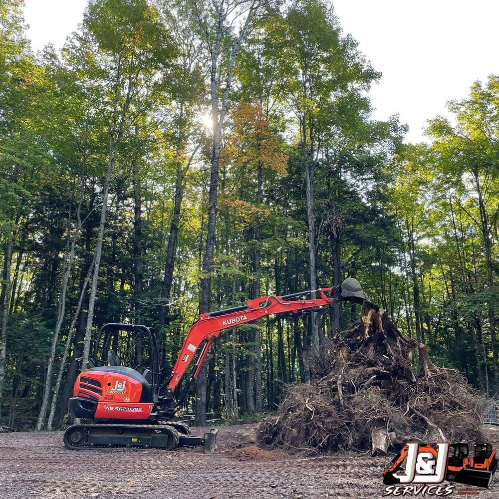 Excavator removing tree roots in a wooded area surrounded by autumn foliage.