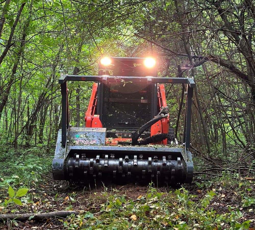 Forestry mulcher in dense woods, clearing underbrush with bright lights glowing.