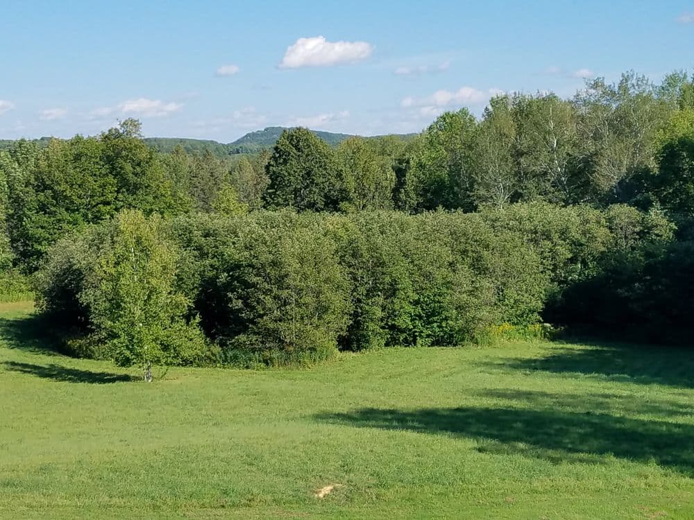 Lush green landscape with dense trees and rolling hills under a bright blue sky.