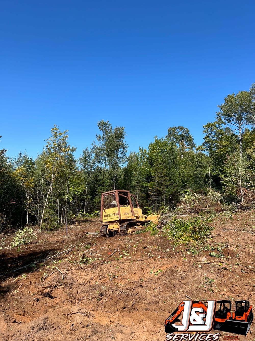 Bulldozer clearing forest land under a clear blue sky, with trees in the background.