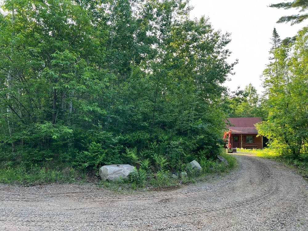 A winding gravel driveway leads to a rustic cabin surrounded by lush green trees.
