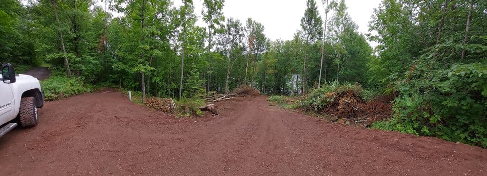 Scenic dirt road splitting through lush green forest with logged trees nearby.
