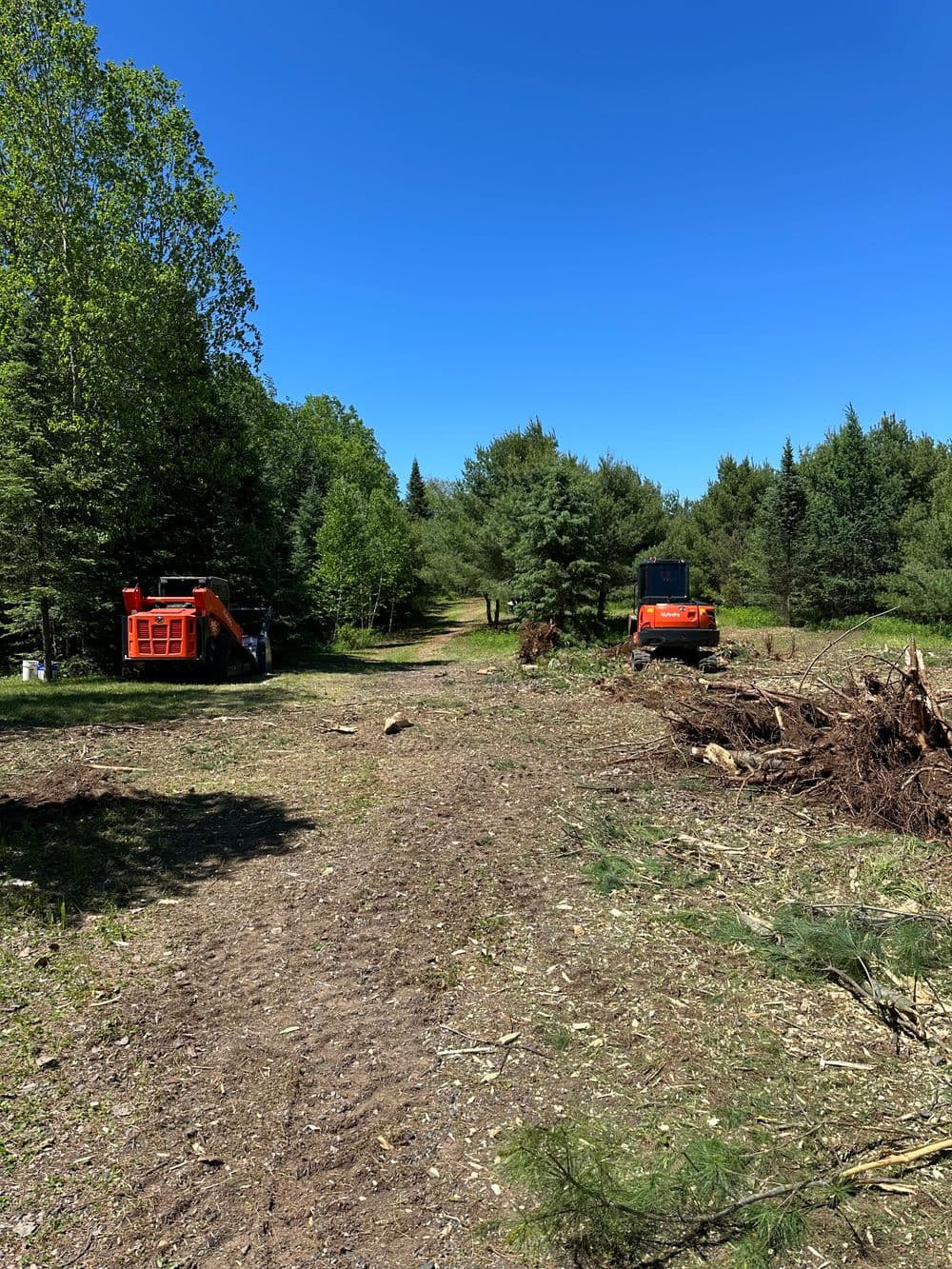 Logging equipment clearing a forested area under a clear blue sky.
