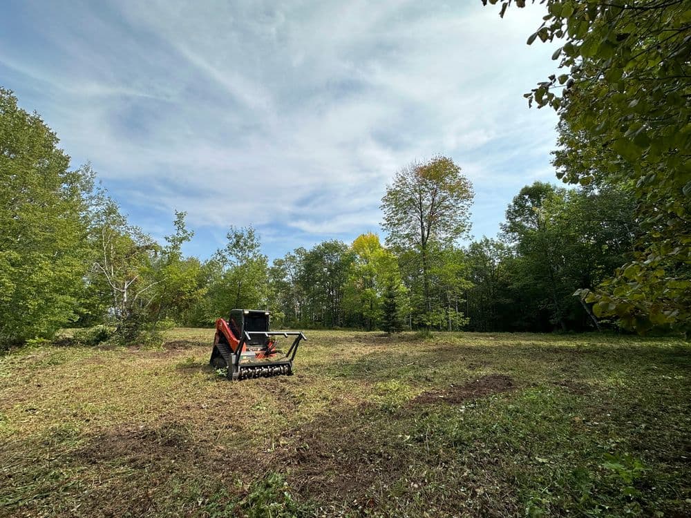 Lawn mower clearing a grassy area surrounded by trees under a clear blue sky.